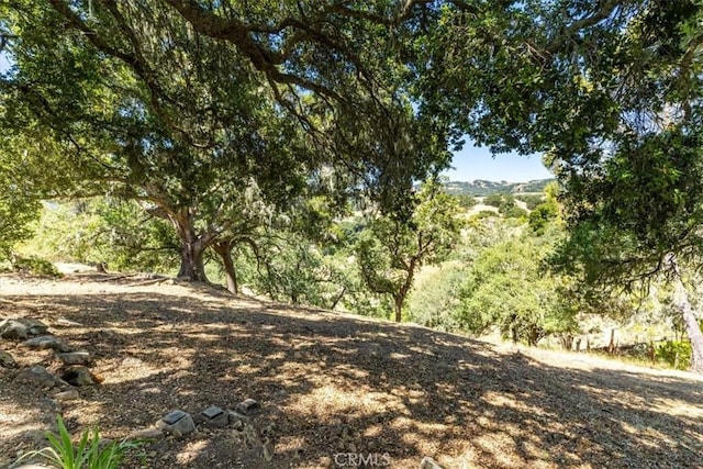 12355 Santa Ana Rd, Atascadero, CA 93422 - view of nature