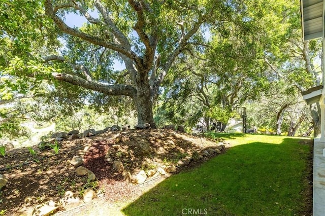 12355 Santa Ana Rd, Atascadero, CA 93422 - view of green lawn
