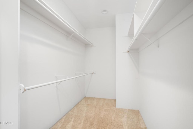 1850 Midvale Ave Unit 4, Los Angeles, CA 90025 - photo 16