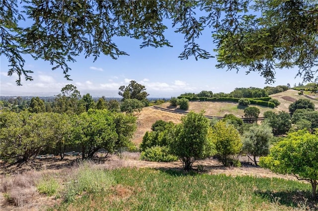 25870 Westwind Way, Los Altos Hills, CA 94022 - view of local wilderness