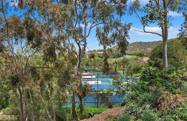 1 Sorrento Ct, Newport Coast, CA 92657 - view of tennis court