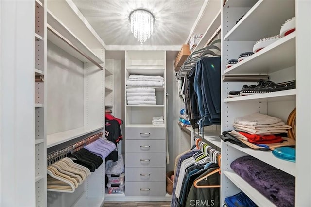 1 Sorrento Ct, Newport Coast, CA 92657 - walk in closet featuring wood finished floors