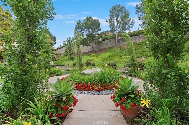 1 Sorrento Ct, Newport Coast, CA 92657 - view of yard