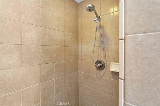 1679 Desert Front Rd, Wrightwood, CA 92397 - bathroom view of tiled shower