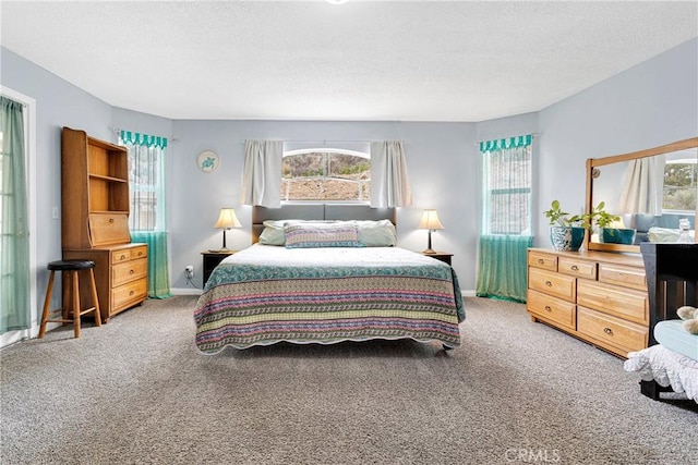 1679 Desert Front Rd, Wrightwood, CA 92397 - bedroom with carpet, multiple windows, a textured ceiling, and baseboards