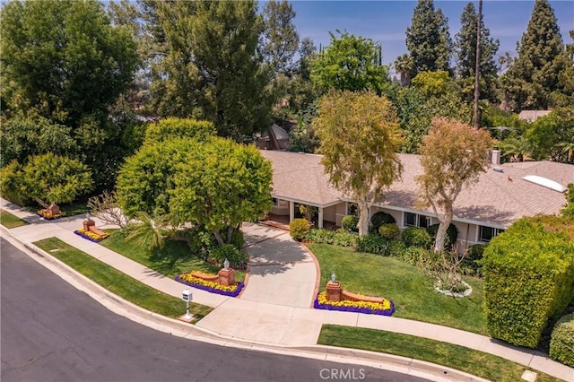 19043 Citronia St, Northridge, CA 91324 - view of front of house featuring a front yard and driveway