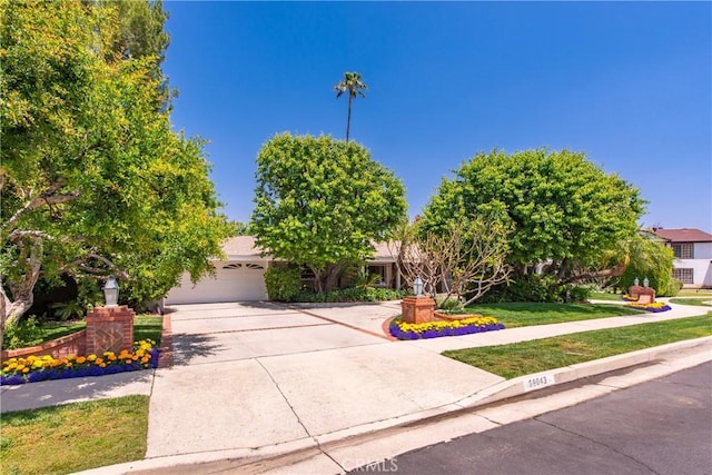 19043 Citronia St, Northridge, CA 91324 - view of property hidden behind natural elements with driveway and an attached garage
