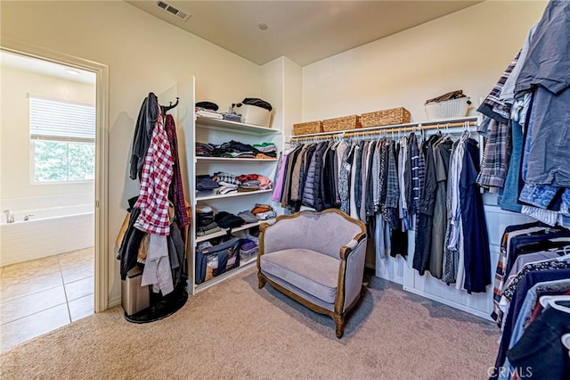 24207 Via Perla, Valencia, CA 91354 - walk in closet with carpet