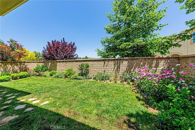 24207 Via Perla, Valencia, CA 91354 - view of yard