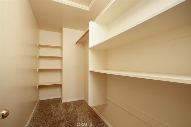 11017 Tipperary Dr, Bakersfield, CA 93311 - spacious closet with carpet
