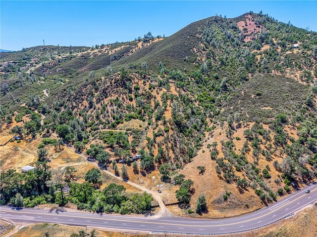 104 Mule Skinner, Clearlake Oaks, CA 95423