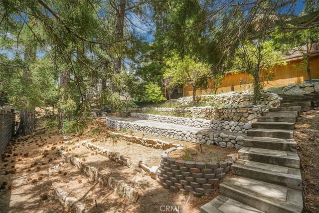 1954 Nob Hill Dr, Running Springs, CA 92382 - view of yard