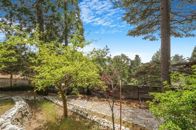 1954 Nob Hill Dr, Running Springs, CA 92382 - view of fenced backyard
