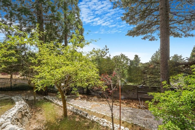 1954 Nob Hill Dr, Running Springs, CA 92382 - view of yard