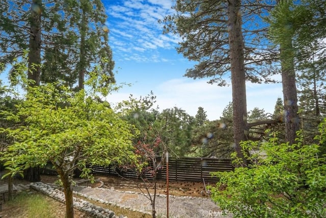 1954 Nob Hill Dr, Running Springs, CA 92382 - view of yard