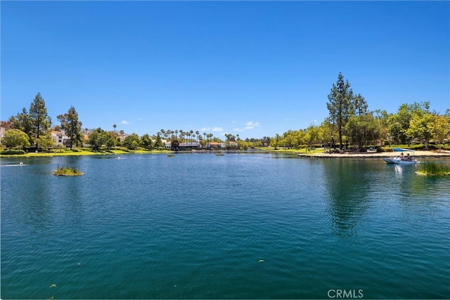 62 Wild Horse Loop Unit 29, Rancho Santa Margarita, CA 92688 - water view