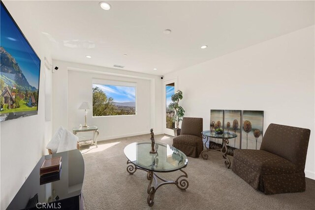 520 N Bardsdale Pl, Brea, CA 92821 - photo 31