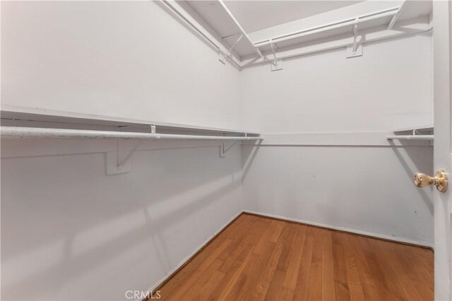 6031 6th Ave, Los Angeles, CA 90043 - walk in closet with light wood finished floors