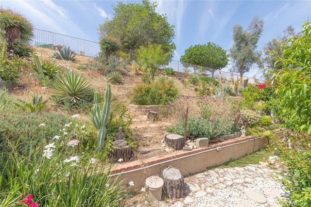 13179 Lone Stallion Ln, Corona, CA 92883 - view of yard