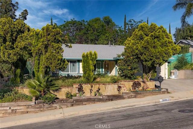 3038 Blakeman Ave, Rowland Heights, CA 91748 - view of property hidden behind natural elements