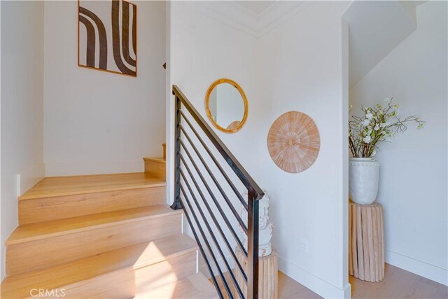 7121/2 N Chestnut Ave, Los Angeles, CA 90042 - photo 10