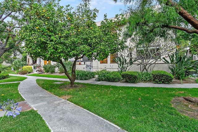 400 S Flower St Unit 84, Orange, CA 92868 - view of property's community featuring a lawn
