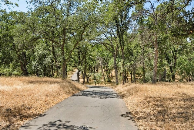 3436 Keefer Rd, Chico, CA 95973 - photo 53