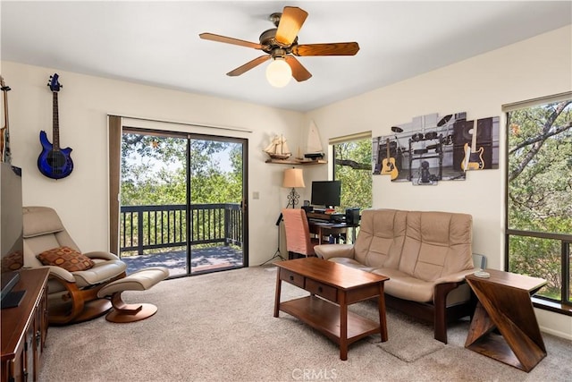3436 Keefer Rd, Chico, CA 95973 - photo 14