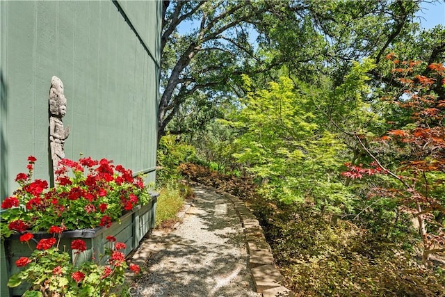 3436 Keefer Rd, Chico, CA 95973 - photo 50