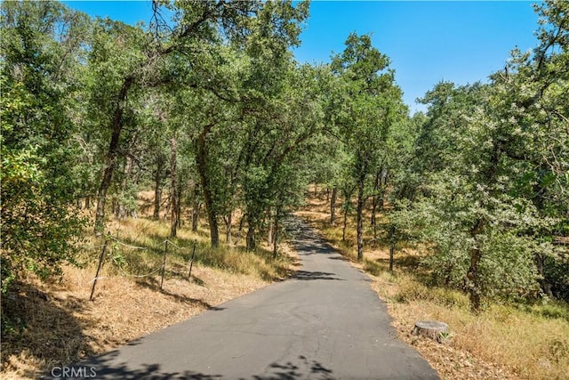 3436 Keefer Rd, Chico, CA 95973 - photo 52