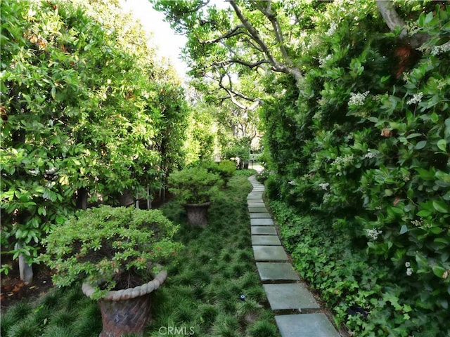 1139 S Orange Grove Blvd, Pasadena, CA 91105 - photo 38