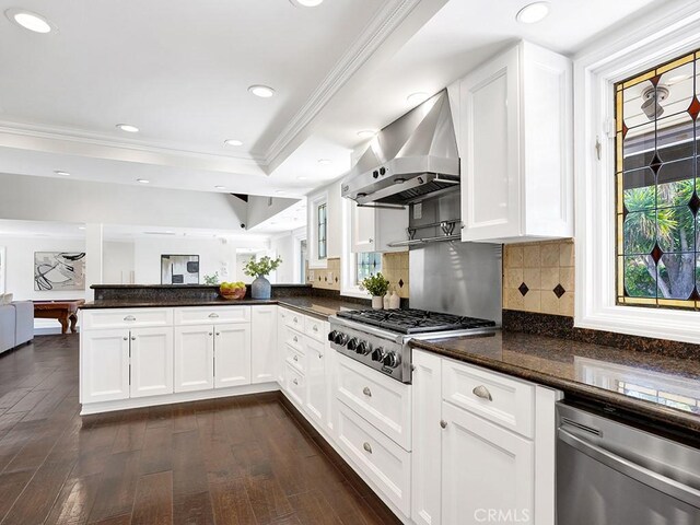 30461 Puerto Vallarta Dr, Laguna Niguel, CA 92677 - kitchen with wall chimney range hood, appliances with stainless steel finishes, a peninsula, dark wood-style flooring, and crown molding