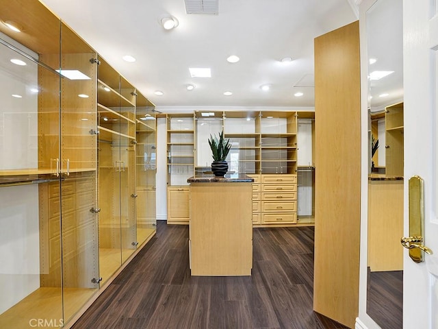 30461 Puerto Vallarta Dr, Laguna Niguel, CA 92677 - walk in closet featuring dark wood finished floors