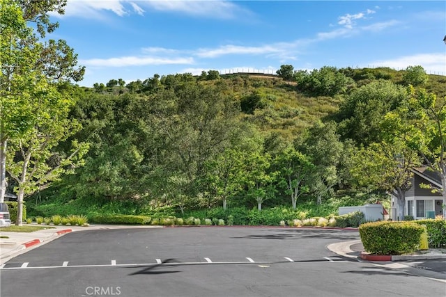 830 S Amber Ln, Anaheim Hills, CA 92807 - photo 33