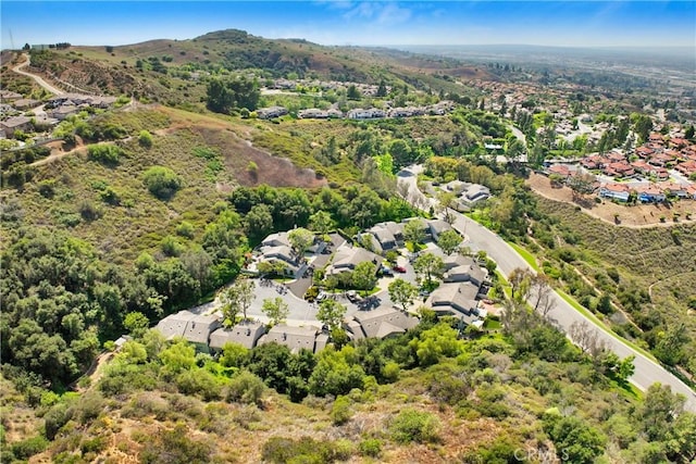 830 S Amber Ln, Anaheim Hills, CA 92807 - photo 39