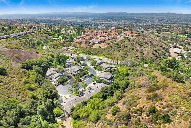 830 S Amber Ln, Anaheim Hills, CA 92807 - photo 35