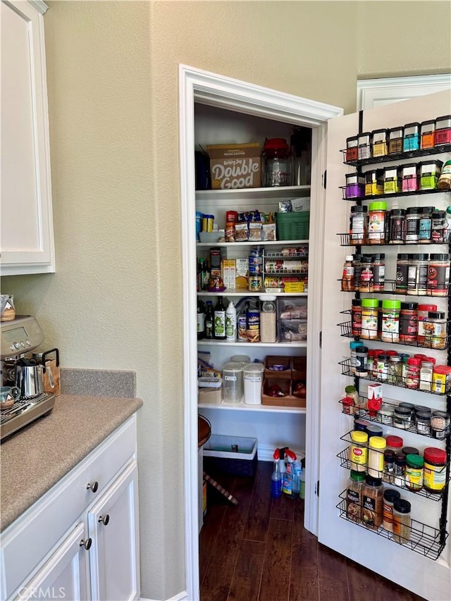 34238 Baja Ct, Lake Elsinore, CA 92532 - view of storage area
