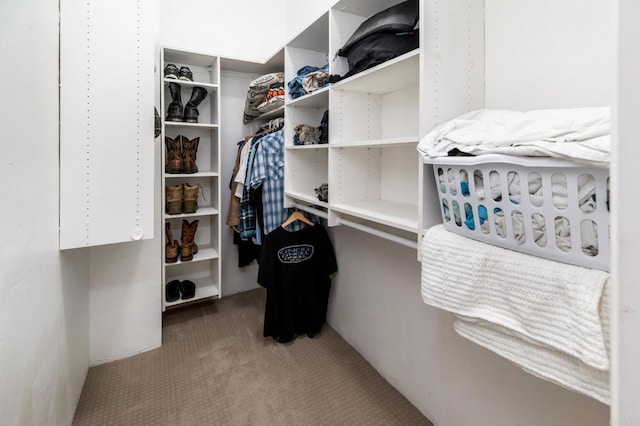 7335 Alicante Rd Unit C, Carlsbad, CA 92009 - spacious closet with carpet