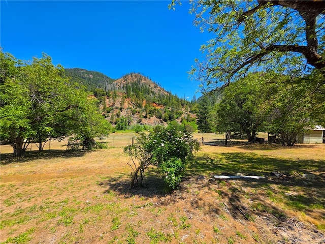 38703 State Highway 96, Klamath River, CA 96086 - view of mountain background