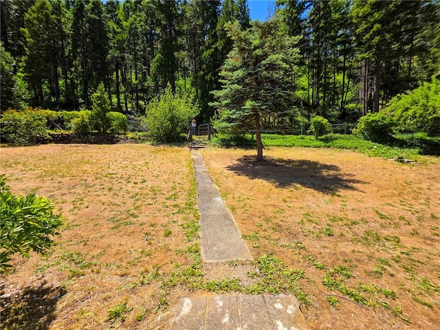38703 State Highway 96, Klamath River, CA 96086 - view of yard