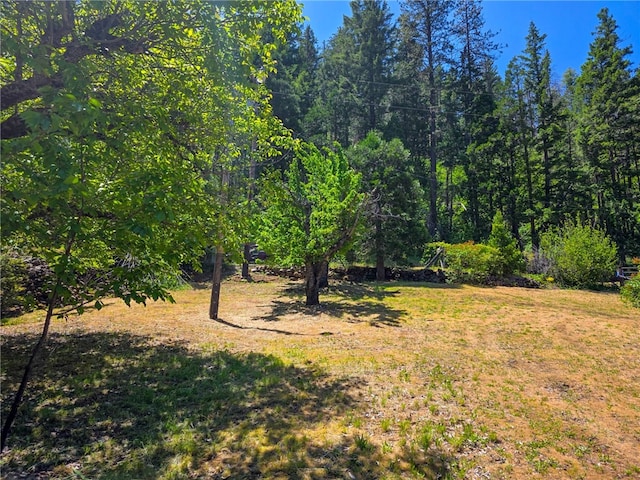 38703 State Highway 96, Klamath River, CA 96086 - view of undeveloped land