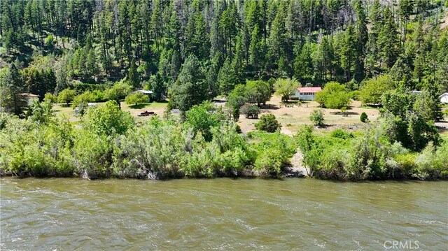 38703 State Highway 96, Klamath River, CA 96086 - water view featuring a heavily wooded area