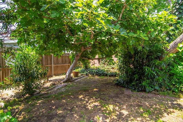 5655 Wish Ave, Encino, CA 91316 - view of yard