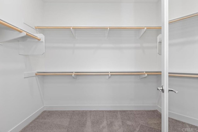 13403 Hudson Ln, San Diego, CA 92130 - walk in closet featuring carpet