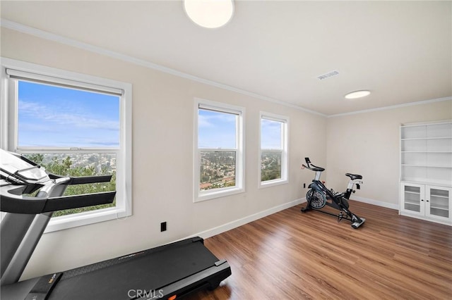 22621 Ridge Line Rd, Diamond Bar, CA 91765 - exercise room with plenty of natural light, wood finished floors, crown molding, and baseboards