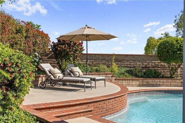 21035 Timber Ridge Rd, Yorba Linda, CA 92886 - view of pool featuring a patio