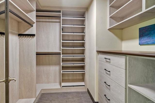 3518 Camino Cereza, Carlsbad, CA 92009 - view of spacious closet