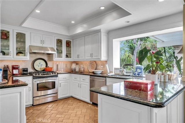 6232 E Shenandoah Ave, Orange, CA 92867 - kitchen featuring appliances with stainless steel finishes, under cabinet range hood, white cabinetry, ornamental molding, and recessed lighting