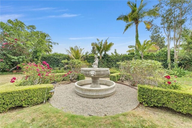 6232 E Shenandoah Ave, Orange, CA 92867 - view of yard