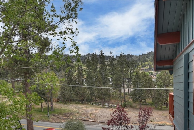 43230 Moonridge Rd, Big Bear Lake, CA 92315 - photo 26